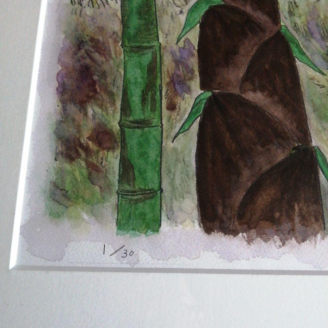 百合作　水彩画　竹林　1/25　49cm