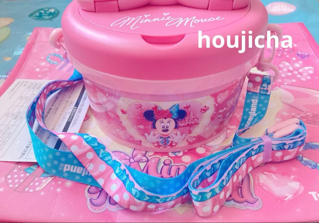 即日発送　即決済のみ　ポップコーンバケット　ミニー　パルパルーザファンダーランド