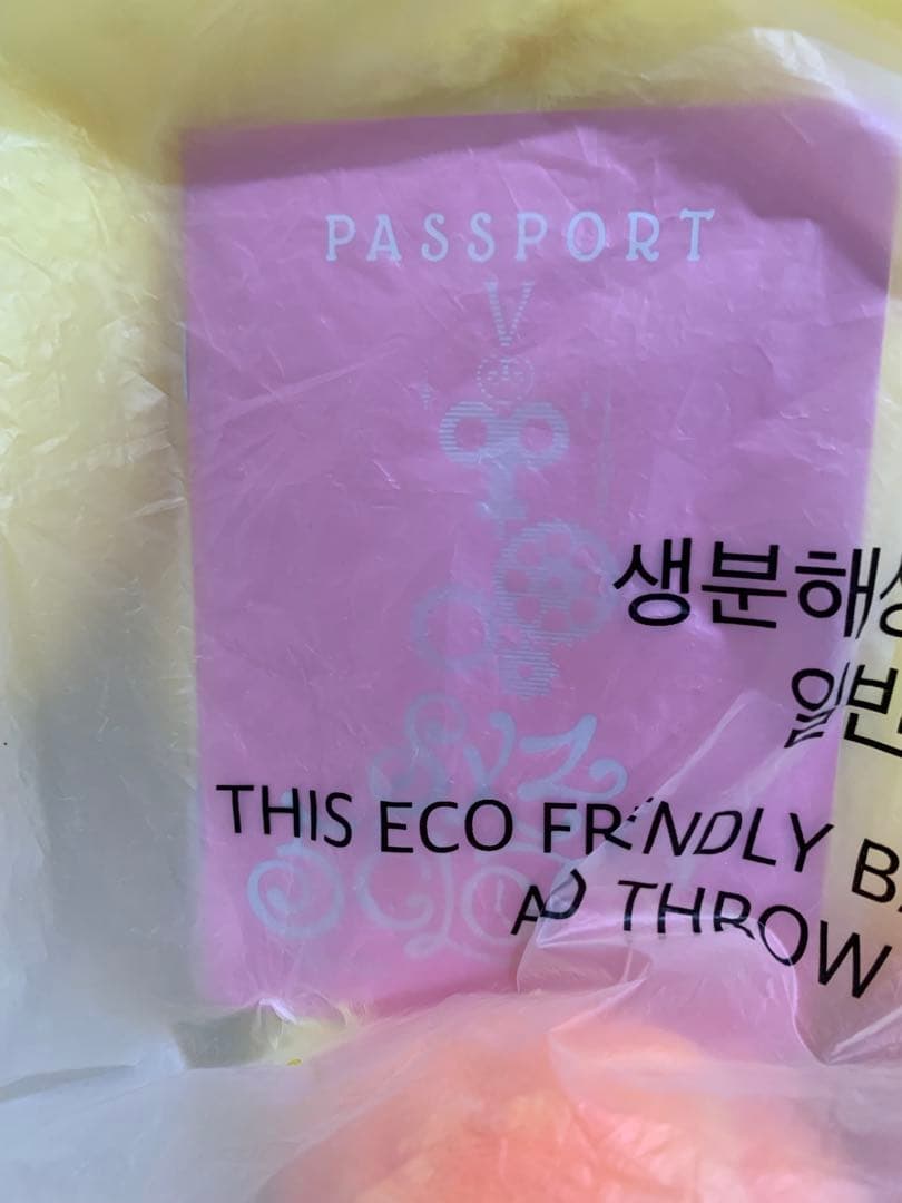 【パスポート付】SKZOO PLUSH テディベア ポガリ