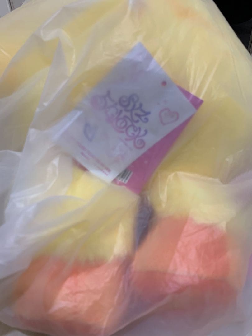 【パスポート付】SKZOO PLUSH テディベア ポガリ