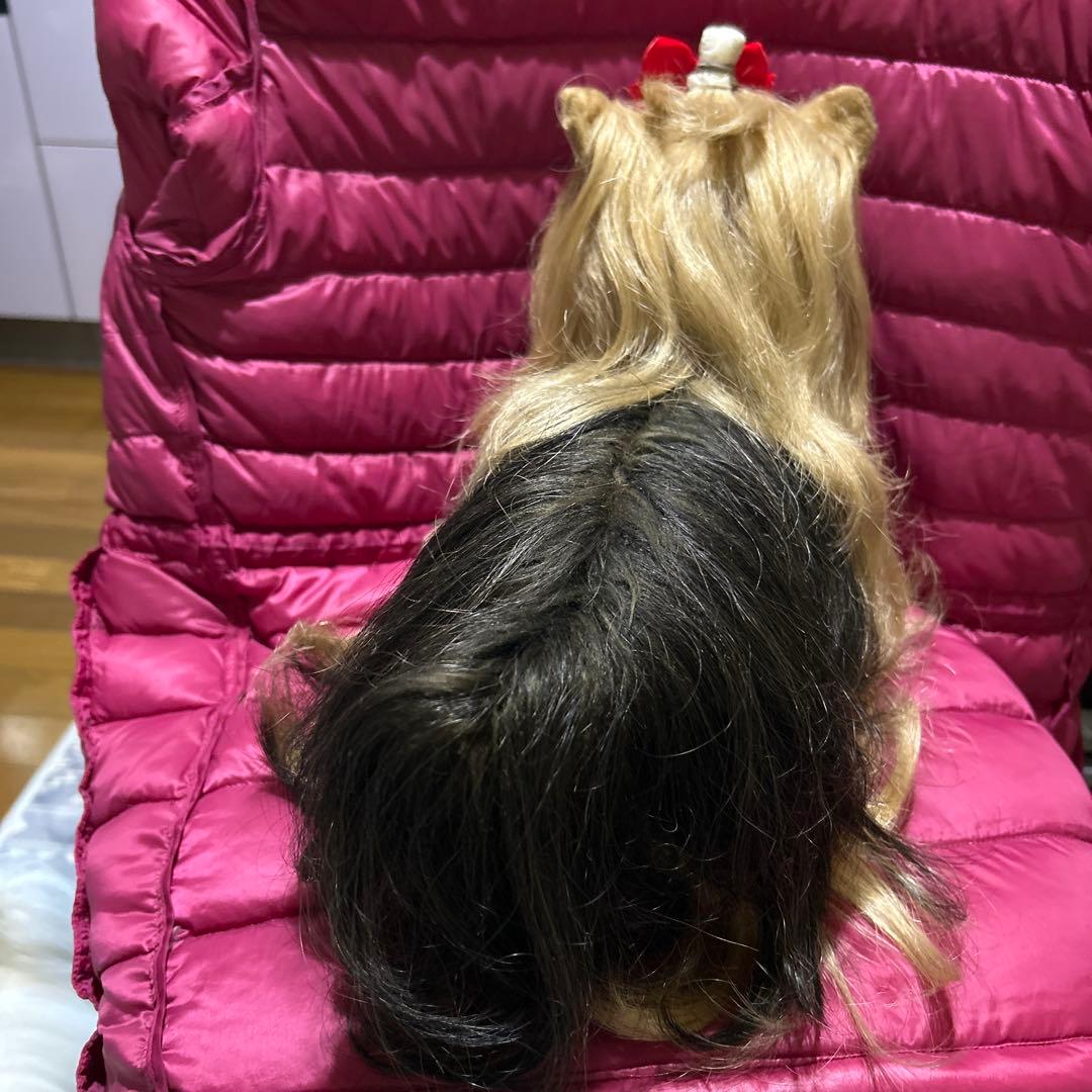 ドレッシーペット　ぬいぐるみ　犬　ヨークシャテリア　日本製❣️