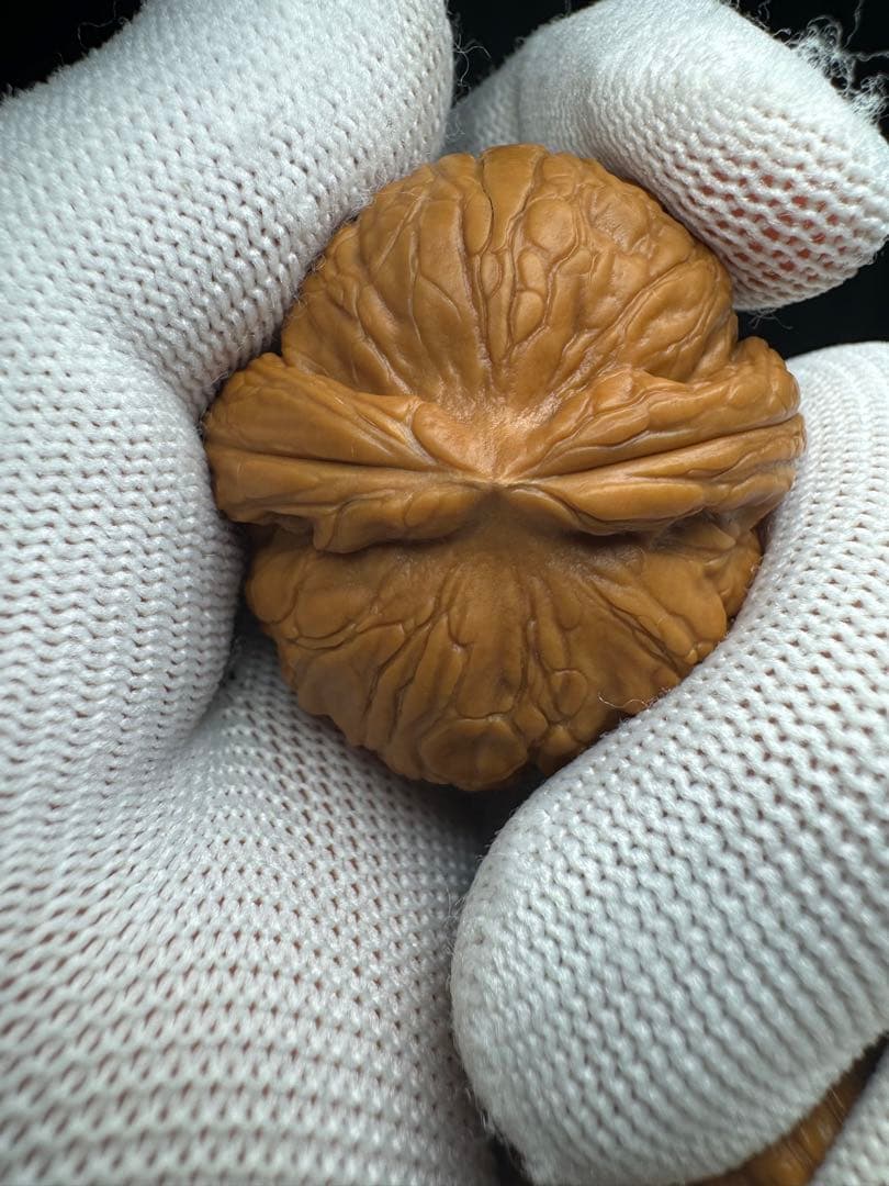 遊び胡桃 40元宝極太稜(無修正)