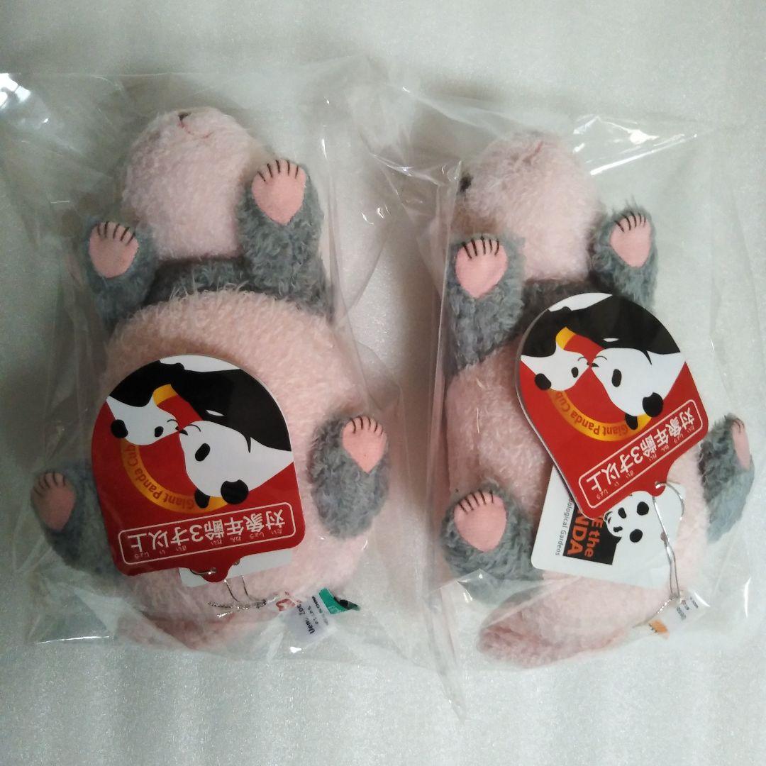 上野動物園 パンダ ぬいぐるみ ほんとの大きさパンダの仔 暁暁 蕾蕾