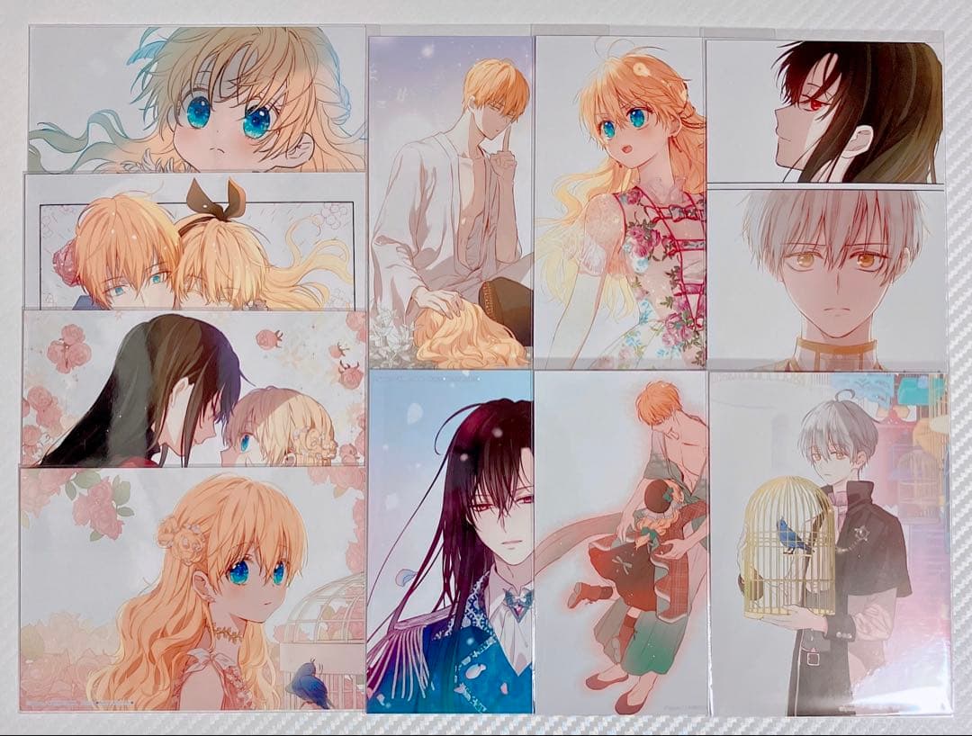 ある姫 本編完結記念 アニメイト 特典 ブロマイド コンプリート 全10種