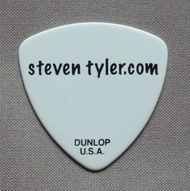 Aerosmith エアロスミス Steven ギターピック