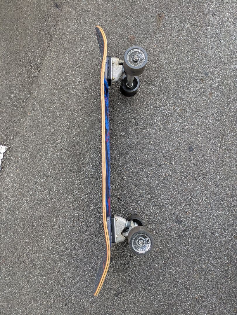 しらす CARVER カーバー スケートボード 34.0inch