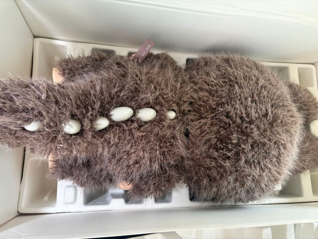 REOREO　10月25日購入