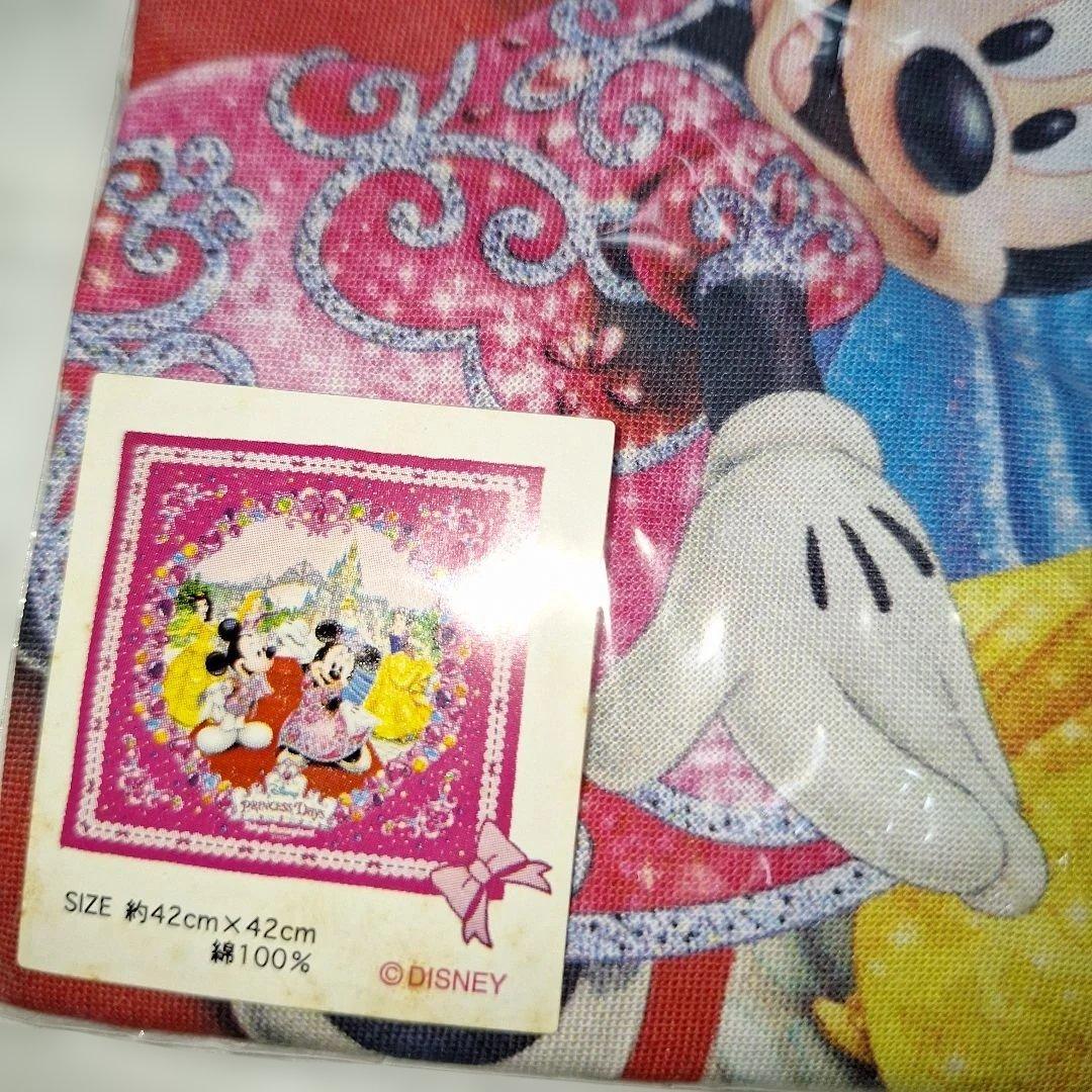 レア　ディズニープリンセスデイズ　セット