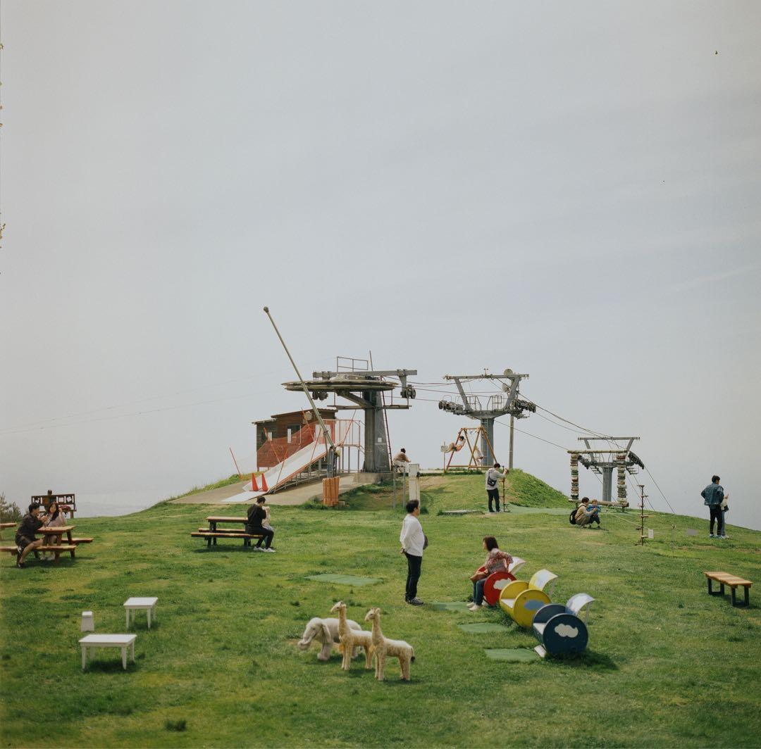 ハッセルブラッド500C/M + 希少な白鏡胴T*80mm Cレンズ - メルカリ