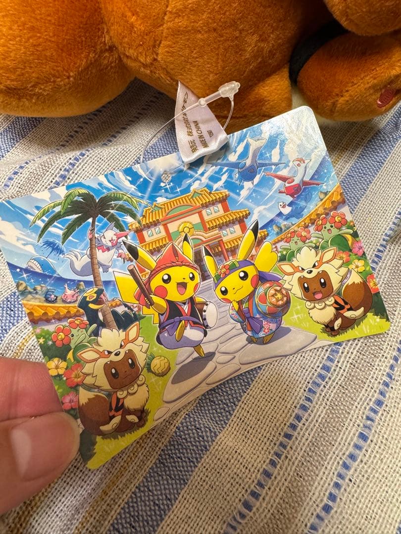 ウインディポンチョのイーブイ　ぬいぐるみ　セット