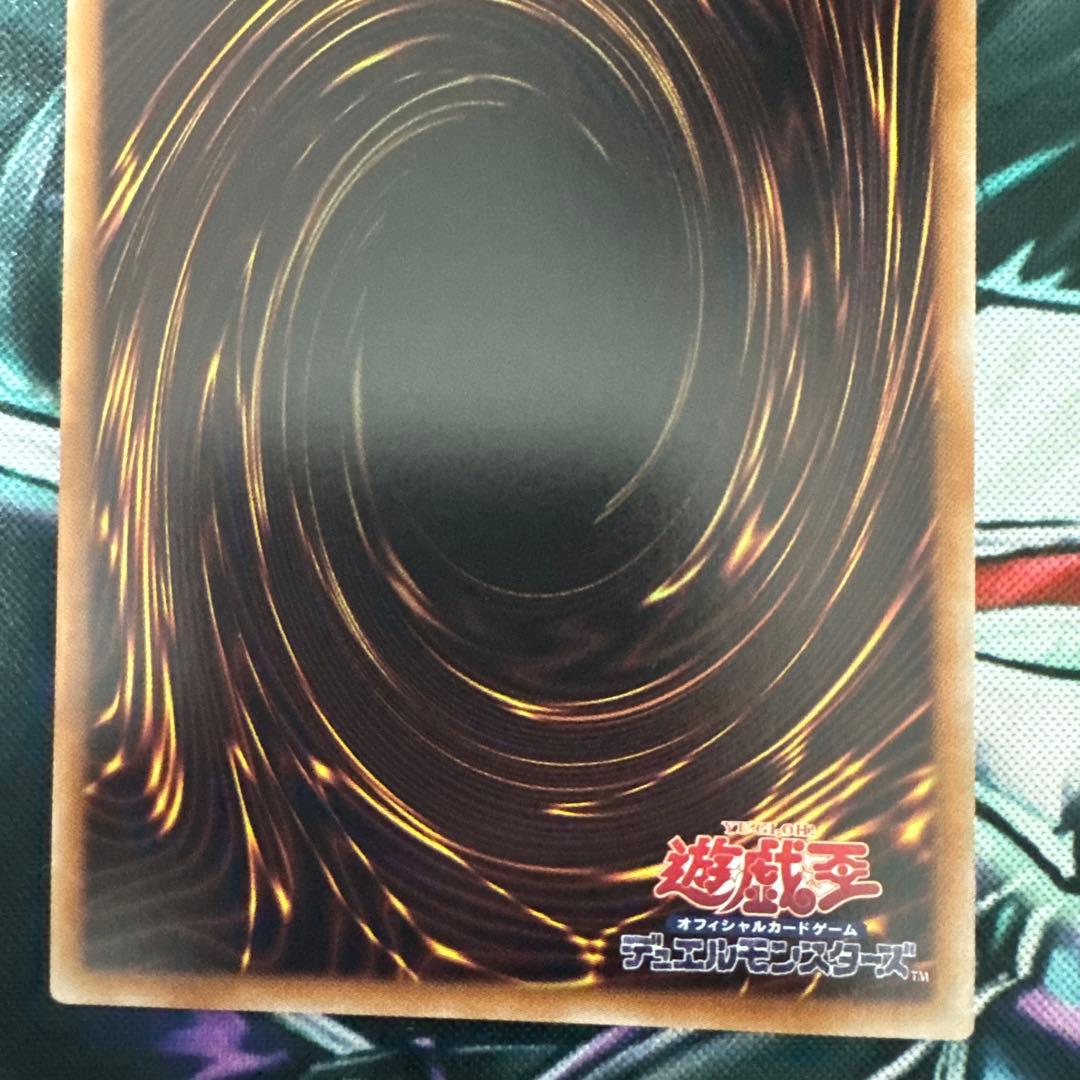 誇りと魂の龍 (INFO-JP000)　25th