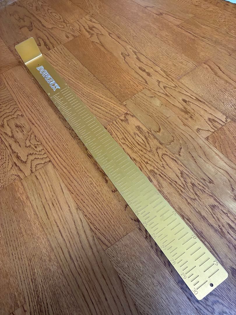 道楽　DOWLUCK インチキなしスケール