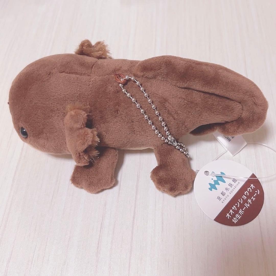 京都水族館 オオサンショウウオ ぬいぐるみ - メルカリ