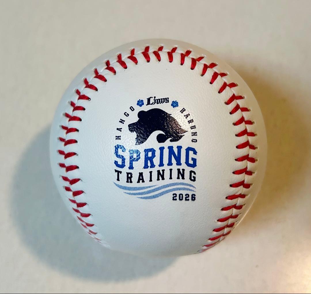 源田壮亮 埼玉西武ライオンズ 直筆サイン 春季キャンプ 限定ロゴ 侍