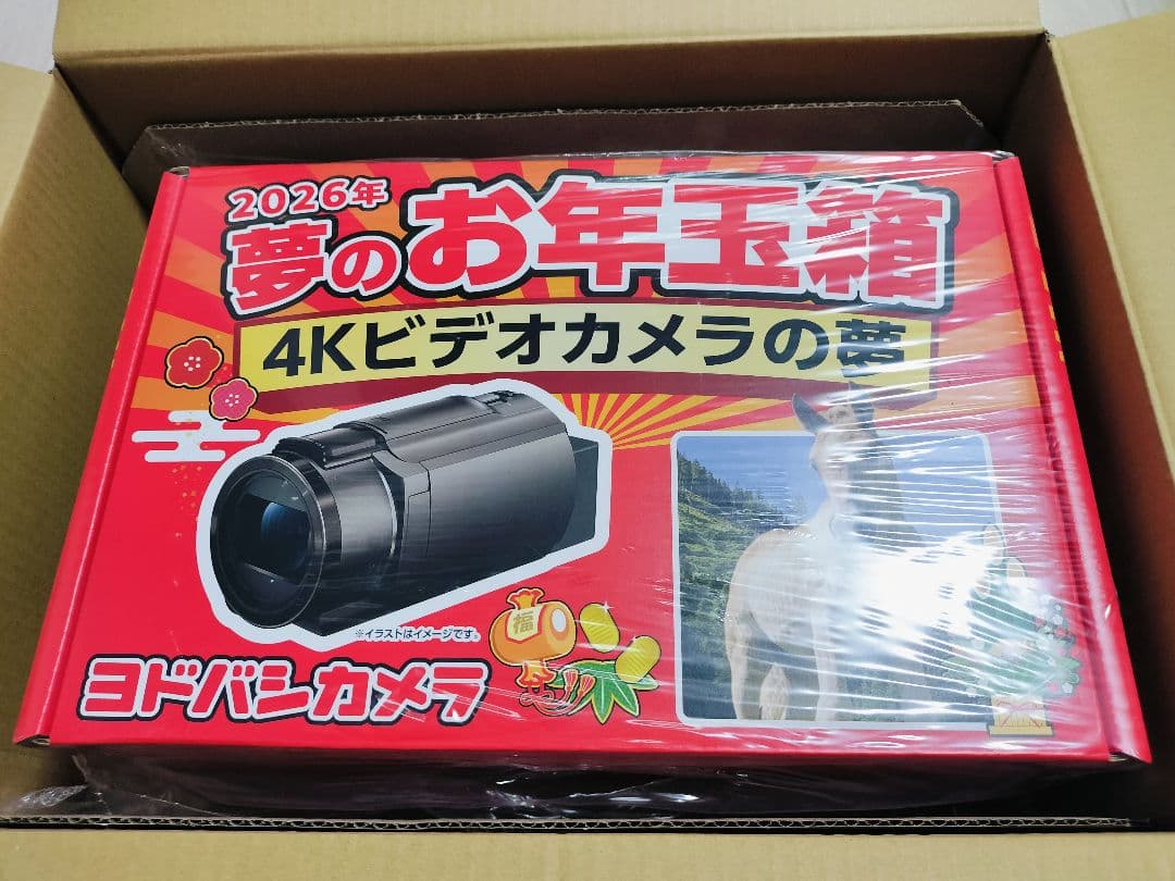 新品 4Kビデオカメラの夢 Sony ソニー FDR-AX45 ヨドバシ福袋 - メルカリ