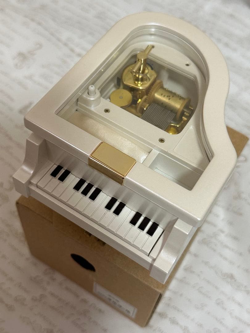 【SOPHIA】進化論♩オルゴール /18弁