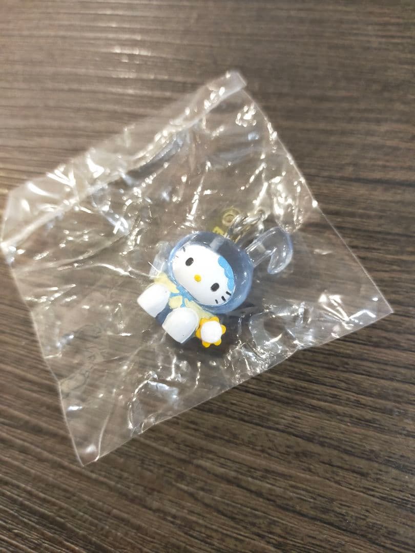 希少　レア　ビッグエコー　BIGECHO キティ　キーホルダー