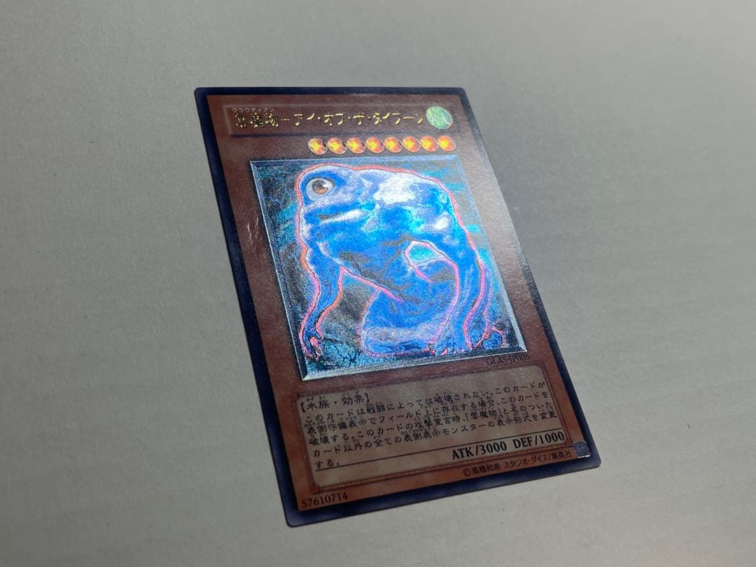 遊戯王 雲魔物アイオブザタイフーン レリーフ - メルカリ