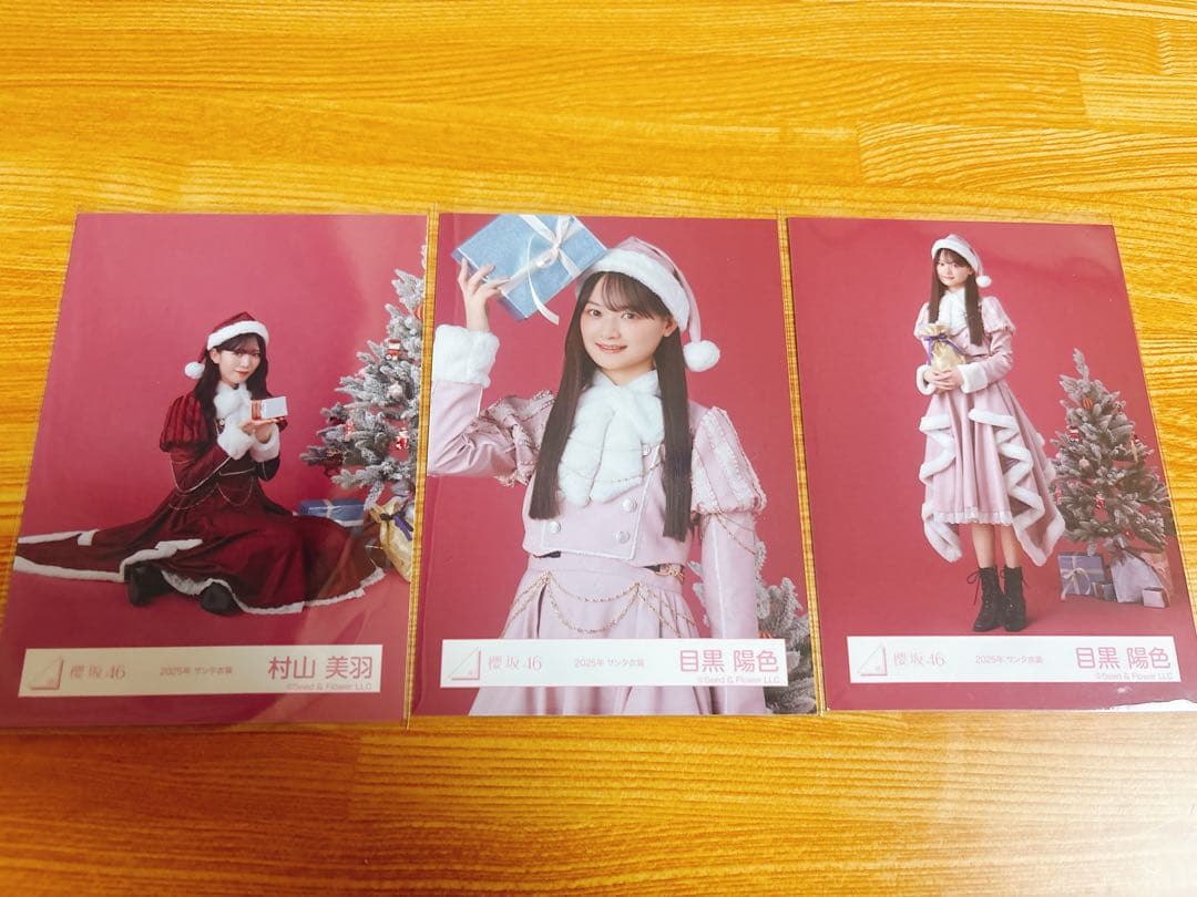 櫻坂46 2025年 サンタ衣装 14枚 - メルカリ