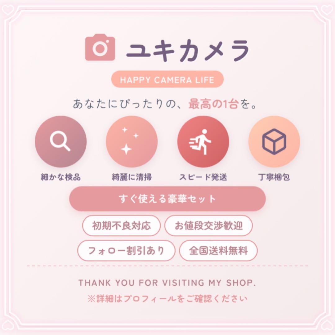 美品✨Nikon D5200 手ぶれ補正レンズ✨自撮り＆スマホ転送OK！バッグ付