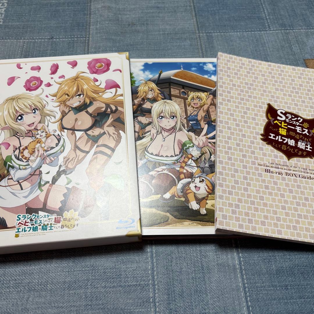 Sランクモンスターの《ベヒーモス》だけど,猫と間違われてエルフ娘の騎士(ペット…