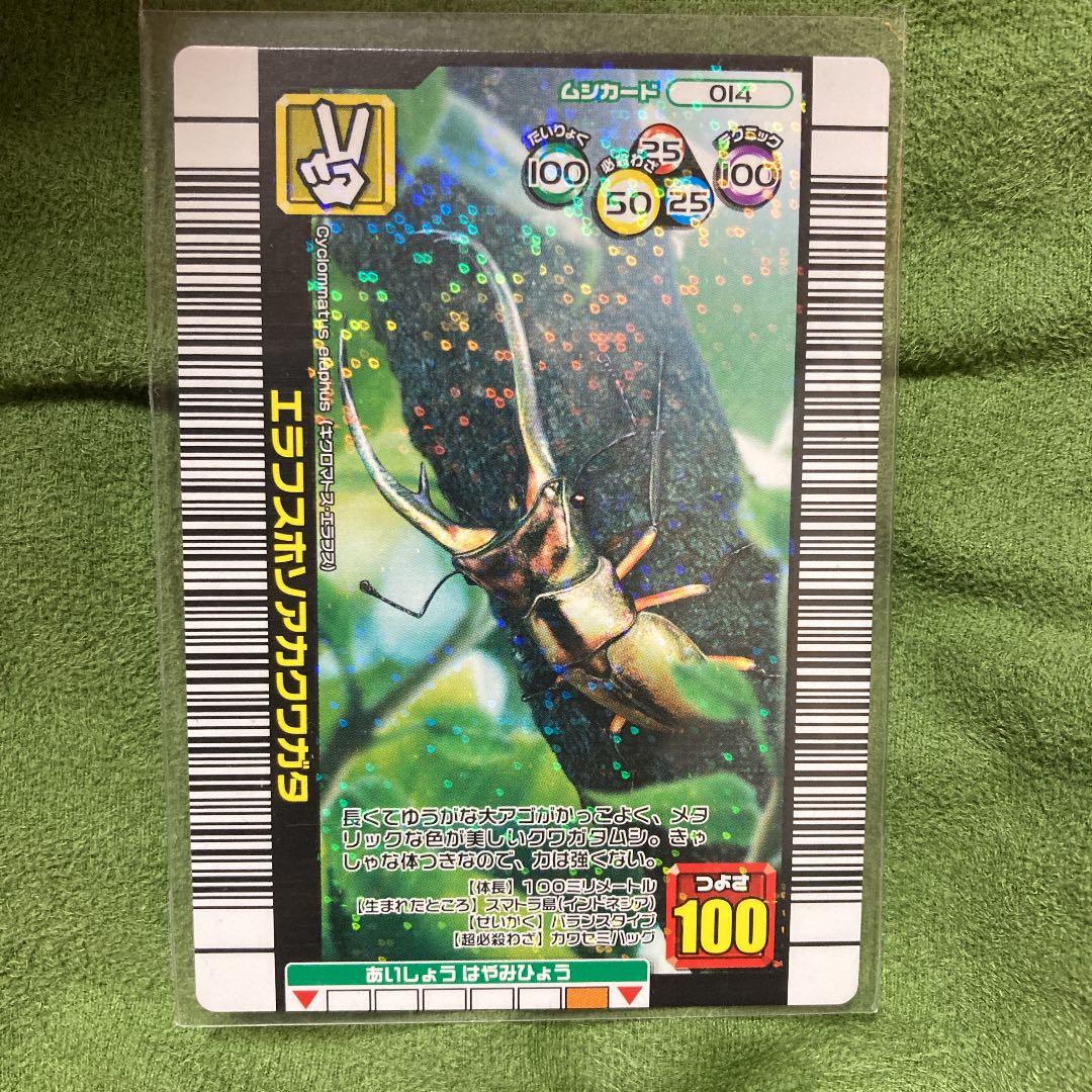 ムシキング カード エラフスホソアカクワガタ - メルカリ