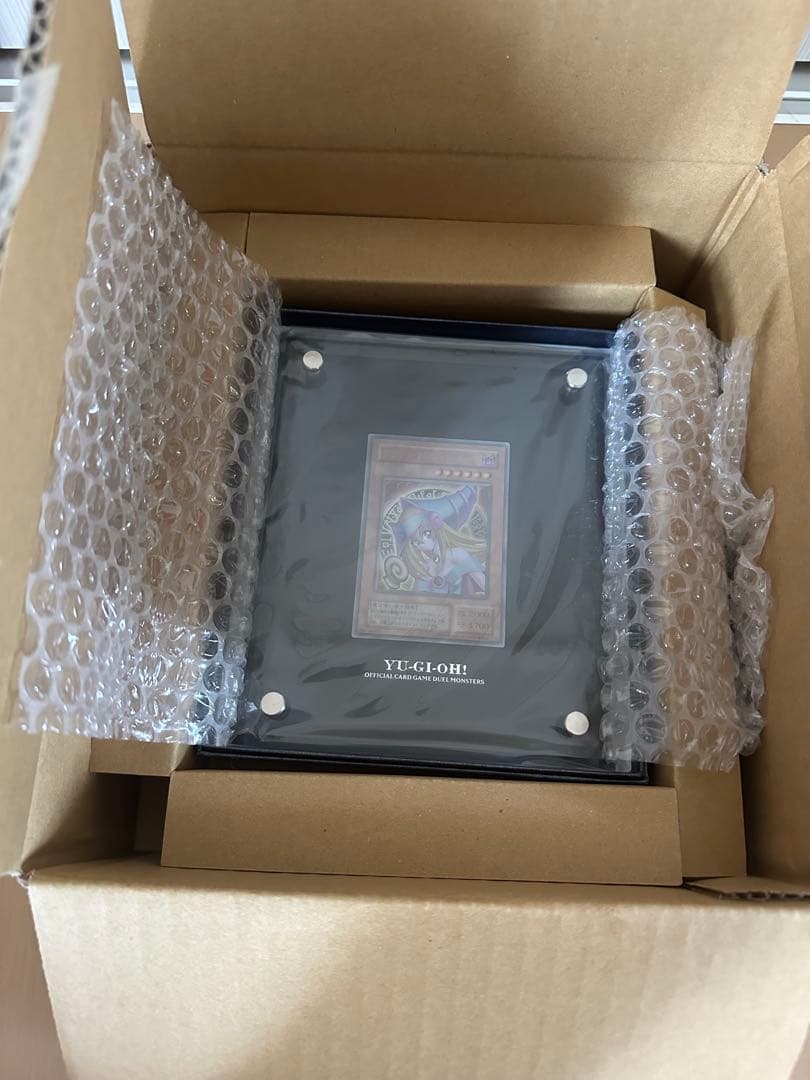 【24時間以内+匿名発送￼￼】ステンレス ブラックマジシャンガール ダンボール