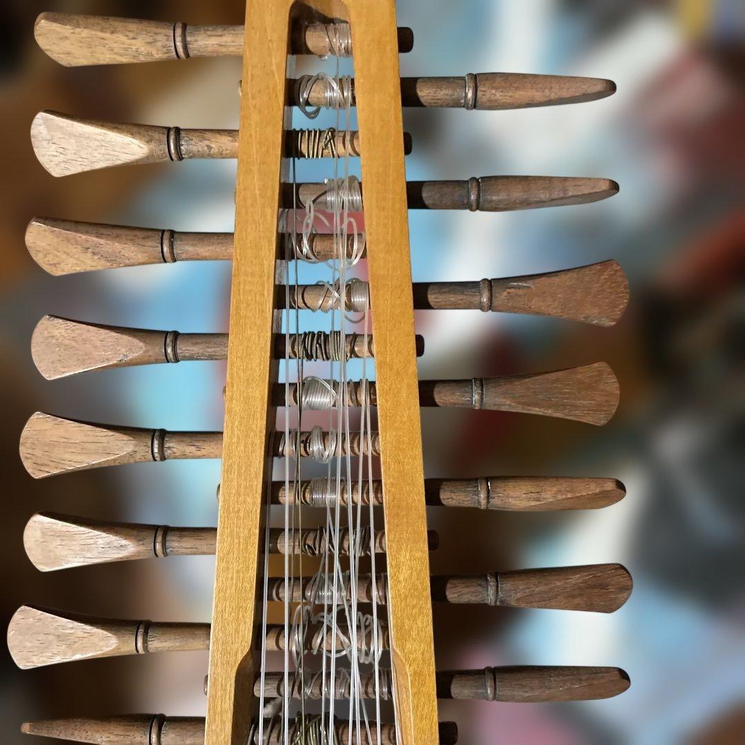 ルネサンスリュート 8コース LUTE 古楽器 訳あり - メルカリ