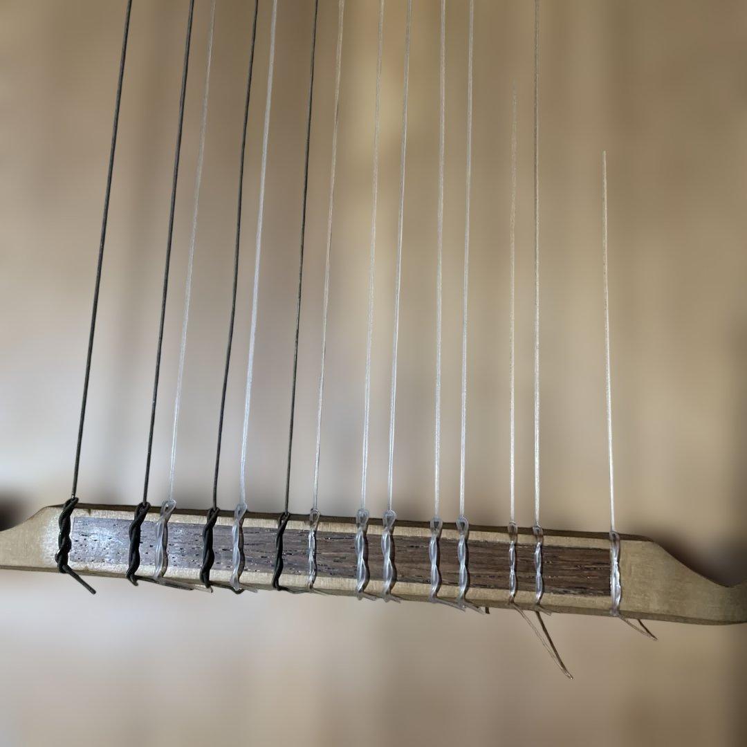 ルネサンスリュート 8コース LUTE 古楽器 訳あり - メルカリ