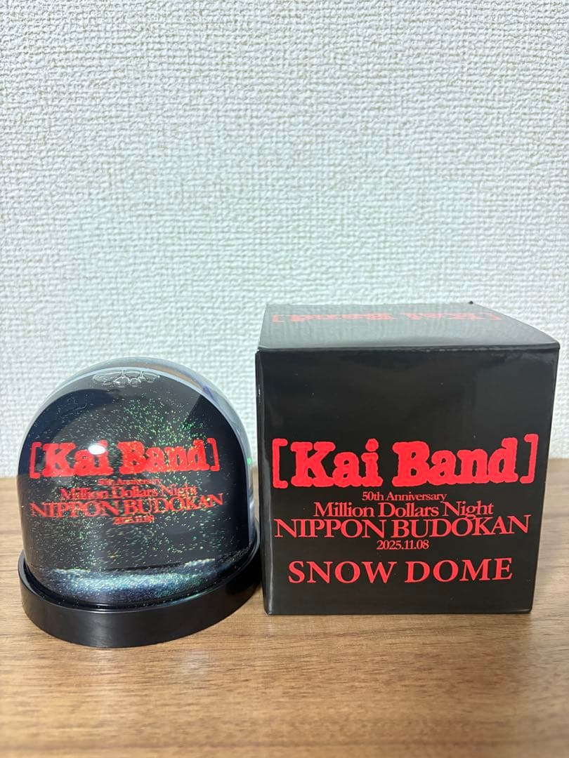 甲斐バンド 50周年記念 日本武道館スノードーム