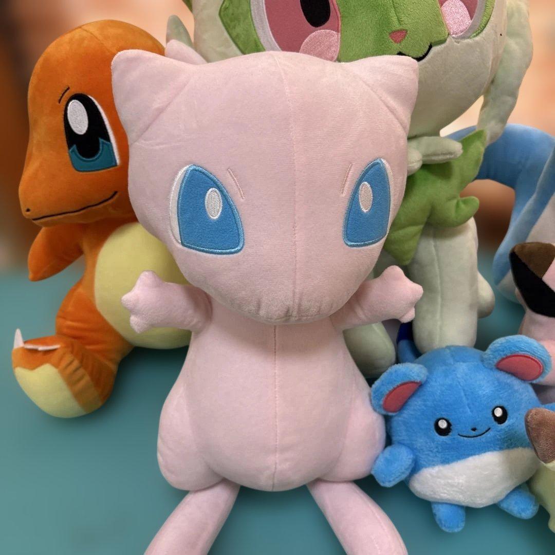 ポケモン ぬいぐるみセット 中型