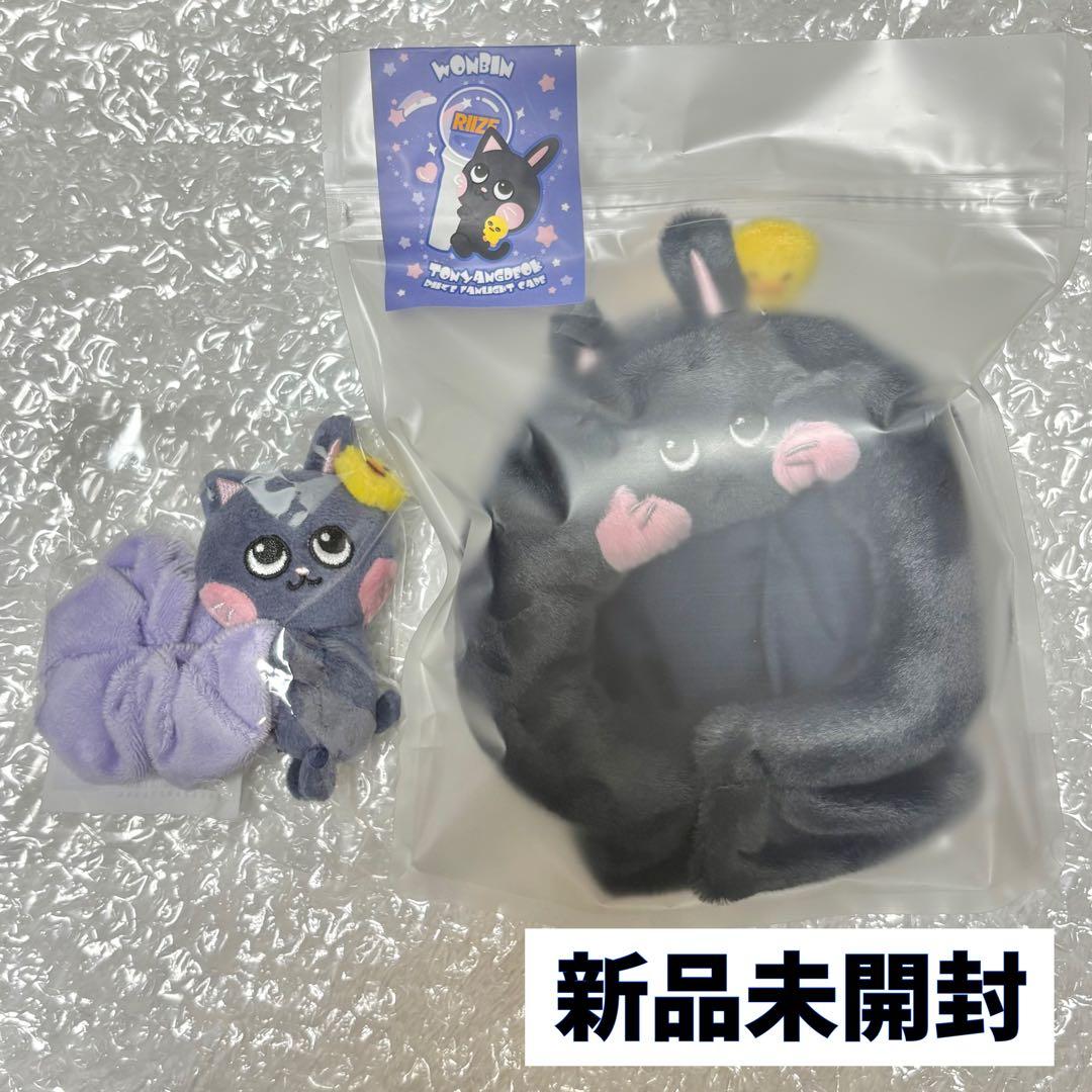 RIIZE ウォンビン トニャンドク ペンライトカバー シュシュセット