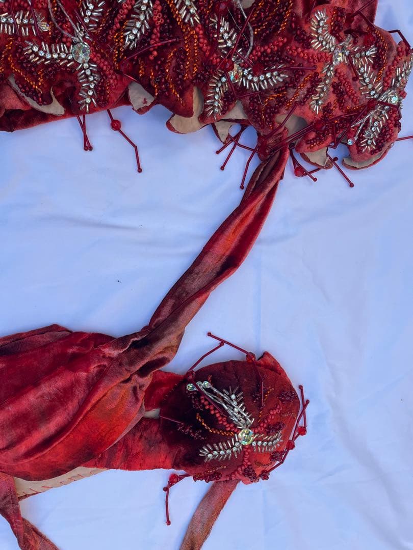 ブラジルベリーダンス セットアップ 赤紫の通販｜www.missouri-66.com