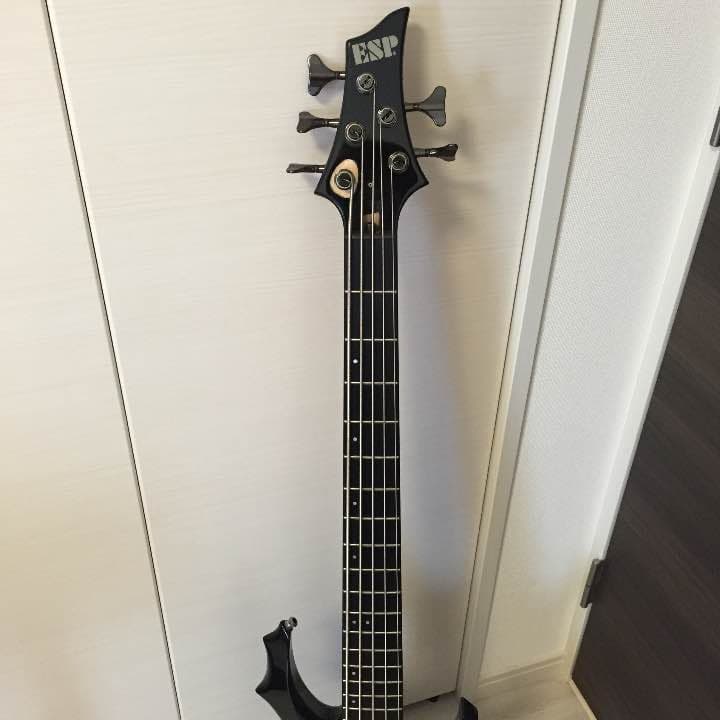 ESP FOREST-STD-SL5 最終値下げ！ - メルカリ