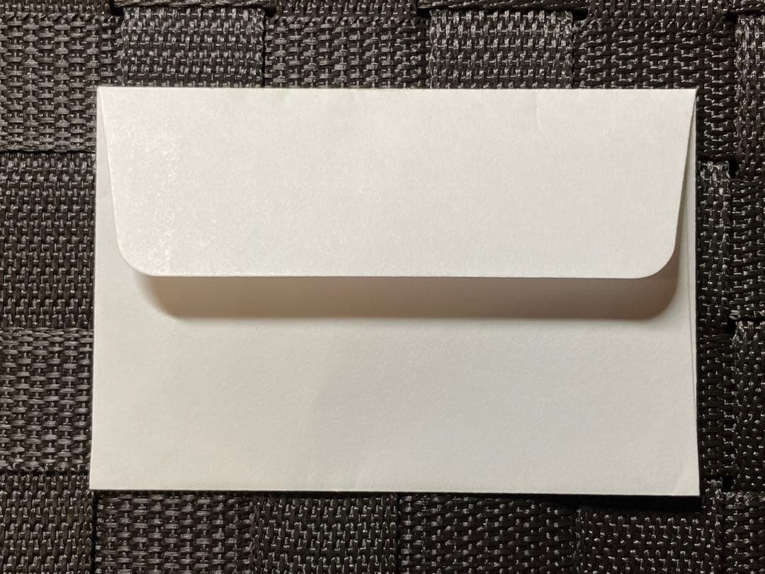 遊戯王デュエルモンスターズ 白封筒 横スリーブセット 非売品