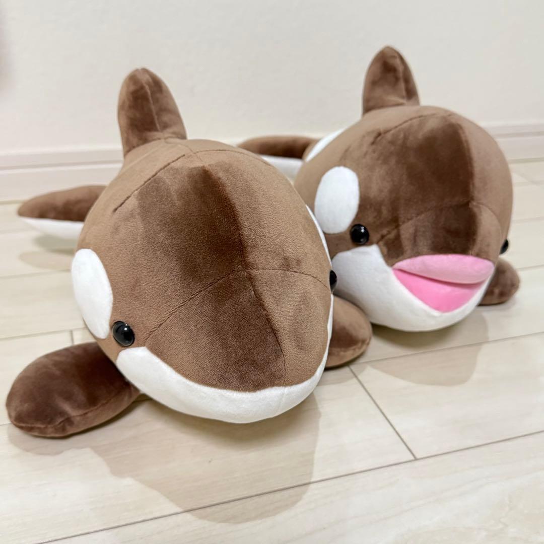 須磨シーワールド シャチ オルカくじ 新色 ショコラデュオカラー 3等 2