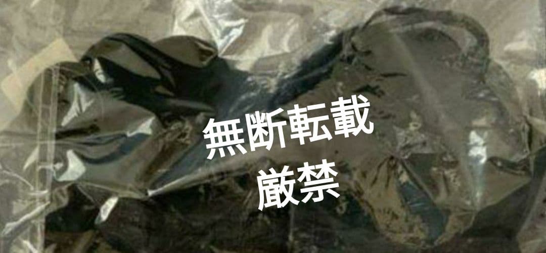 【関係者　入手】（超貴重）TWICE　サナ　着用　ワンピース