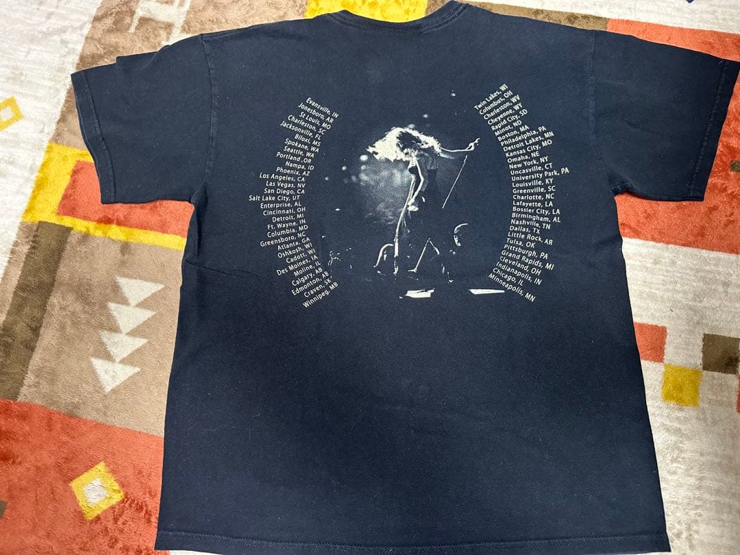 GILDAN半袖Tシャツ　テイラースウィフトライブTシャツ