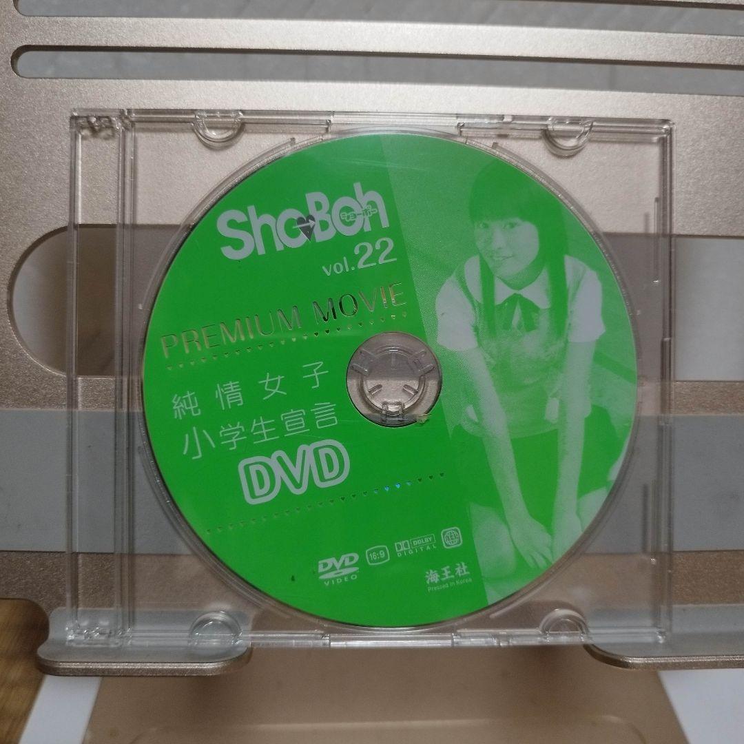 ShoBon 22号 2011年発行 DVD付き