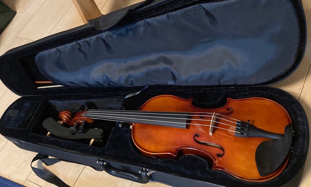 10/13までの価格！カルロジョルダーノバイオリンVS-14/4サイズ - メルカリ