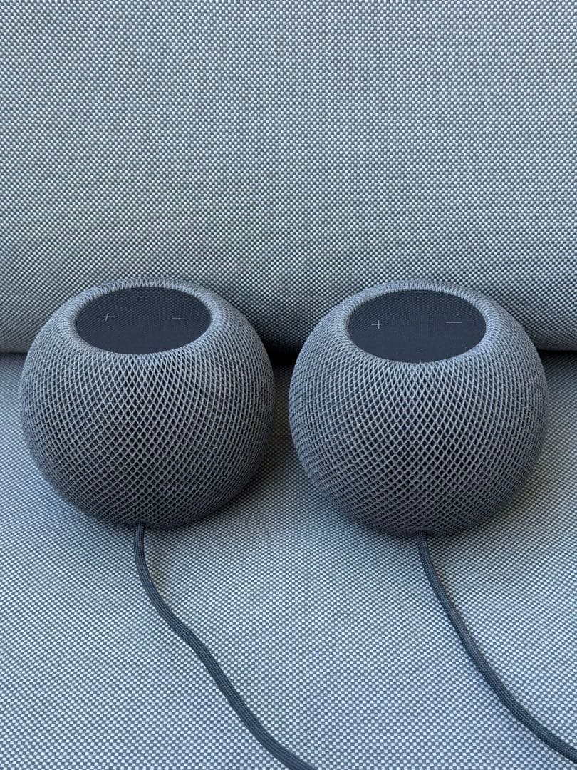 Apple Pod mini 2個セット（黒） Apple Pod mini ブラック 2台セット Apple Pod mini 黒 2個セット