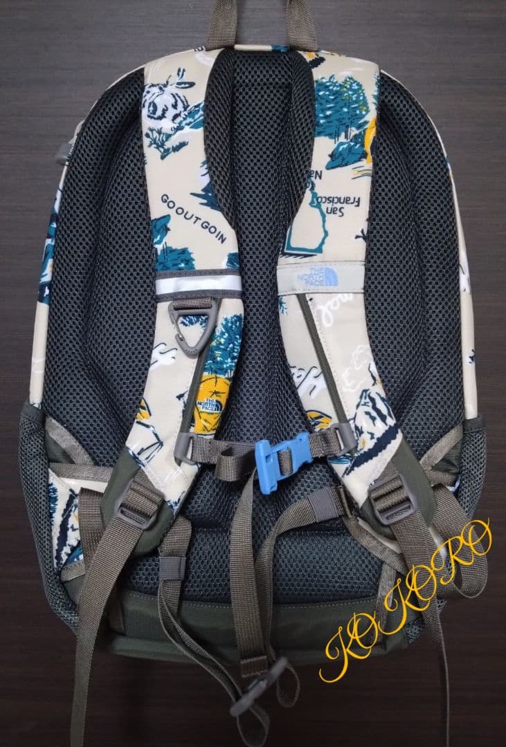 大人も使える 新品 ノースフェイス 22L ラウンディ キッズ カラーYC