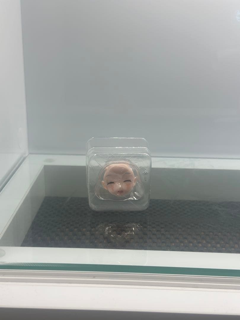 ゴールデンヘッド　アロナ(あみあみ限定版)