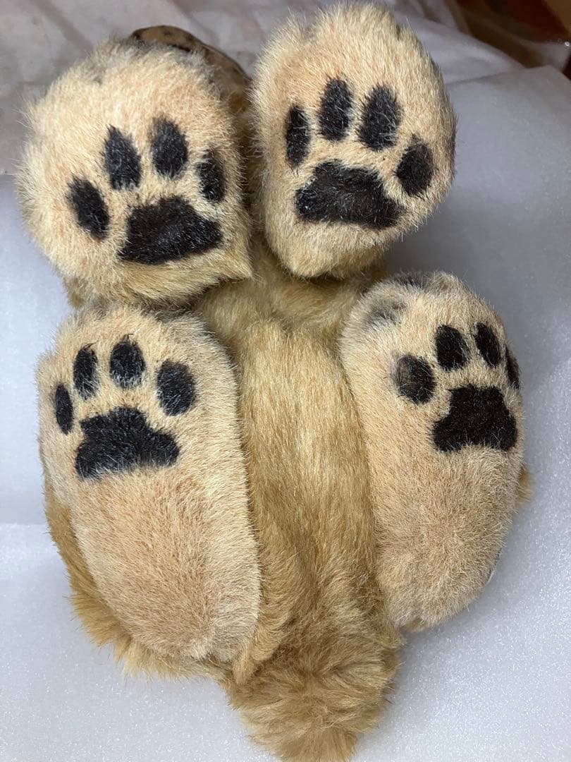 Koesen　ケーセン　ライオンの赤ちゃん　ぬいぐるみ