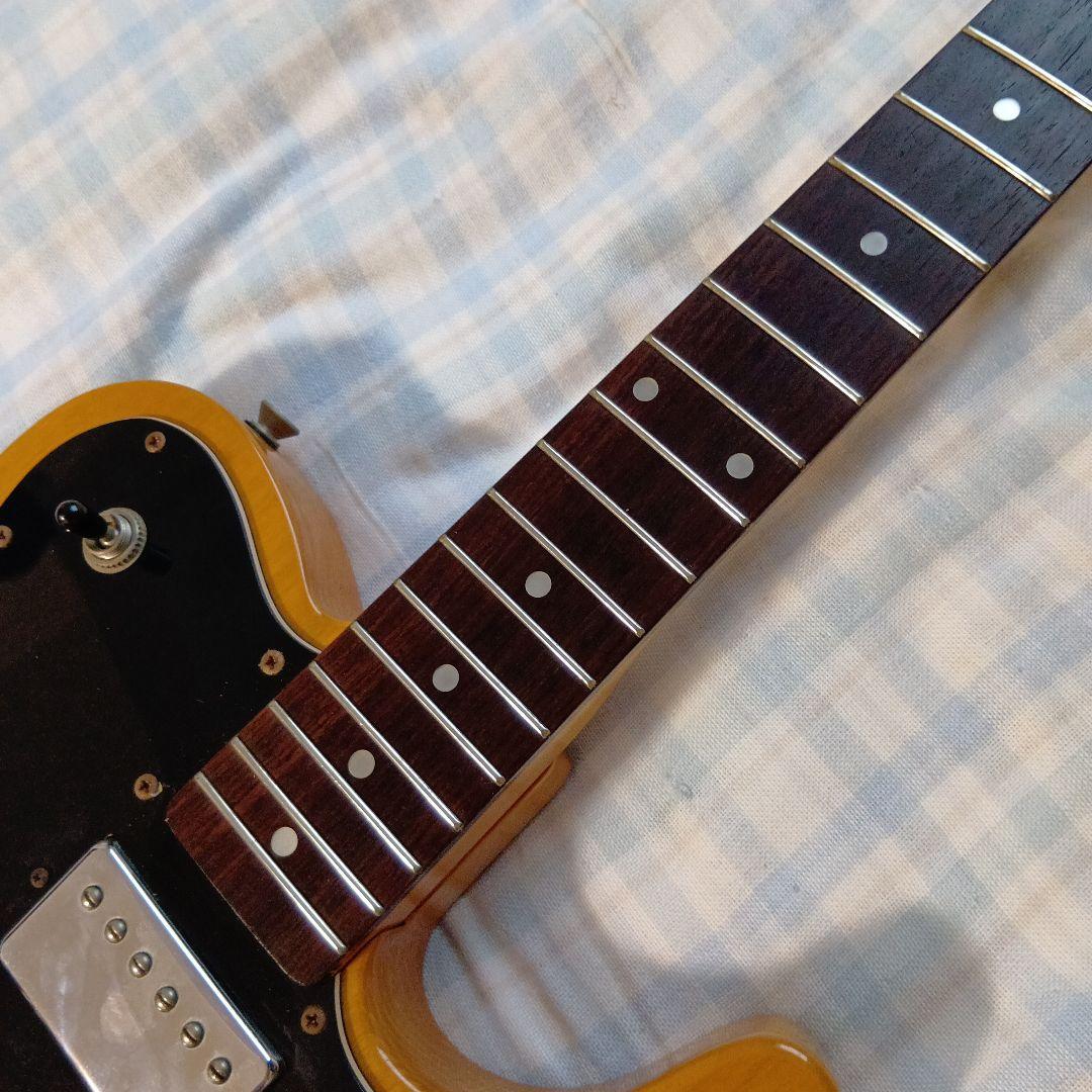 Brian by bacchus Telecaster custom Brian by bacchus テレキャスター