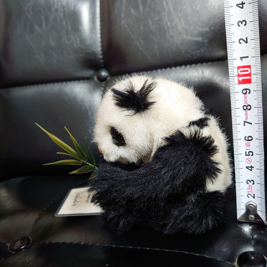 【製作者サイン色紙付き】テディベア パンダ 5体限定 エスコール ノンバス