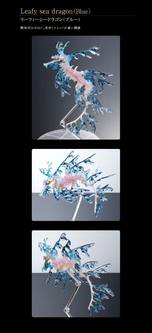リーフィーシードラゴン　ブルー　いきもの大図鑑　プレミアム　海洋堂　フィギュア 抽選販売】いきもの大図鑑プレミアム リーフィーシードラゴン