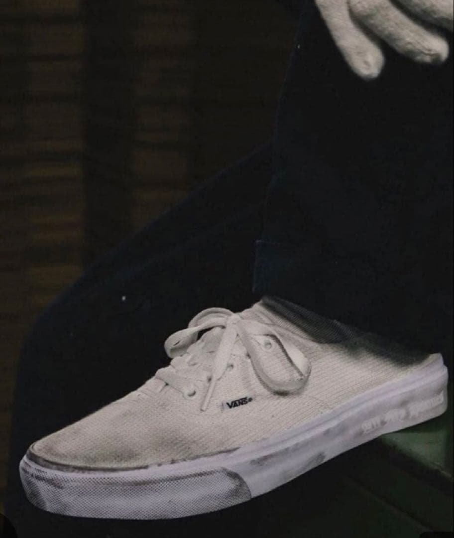 靴 VANS AUTHENTIC All My Homies ZORN 25.5cm