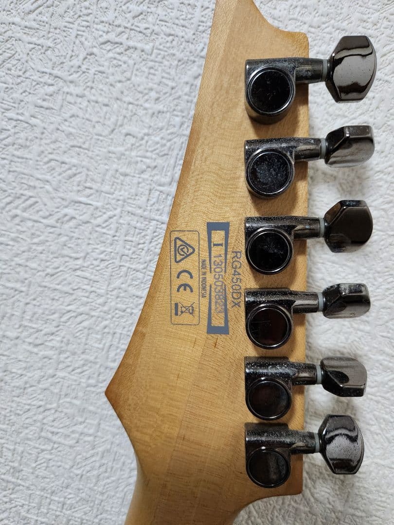 Ibanez RG450DX エレキギター ブラック系
