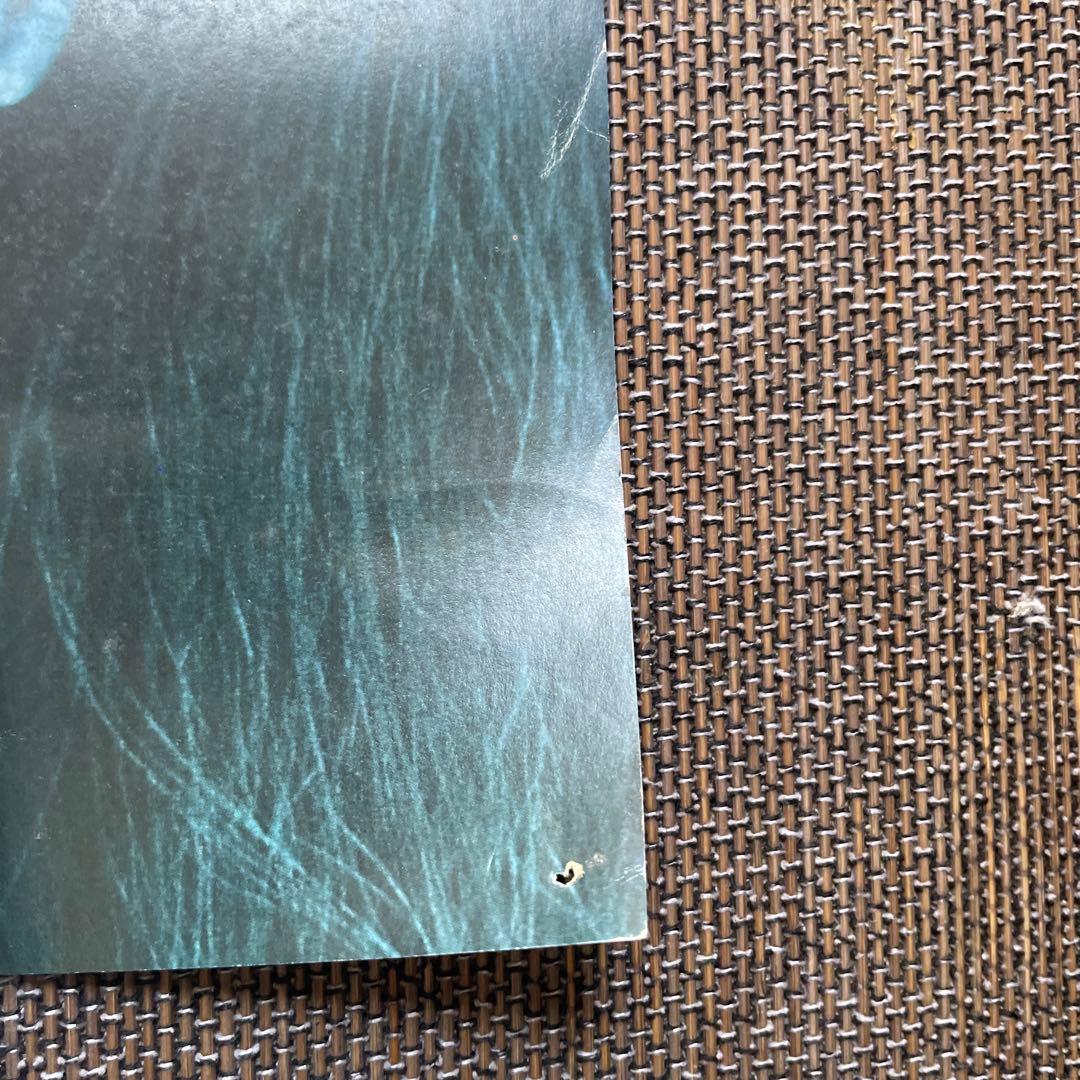 「#546」超レア❗️「若者のすべて STAY GOLD」ポスター A1サイズ